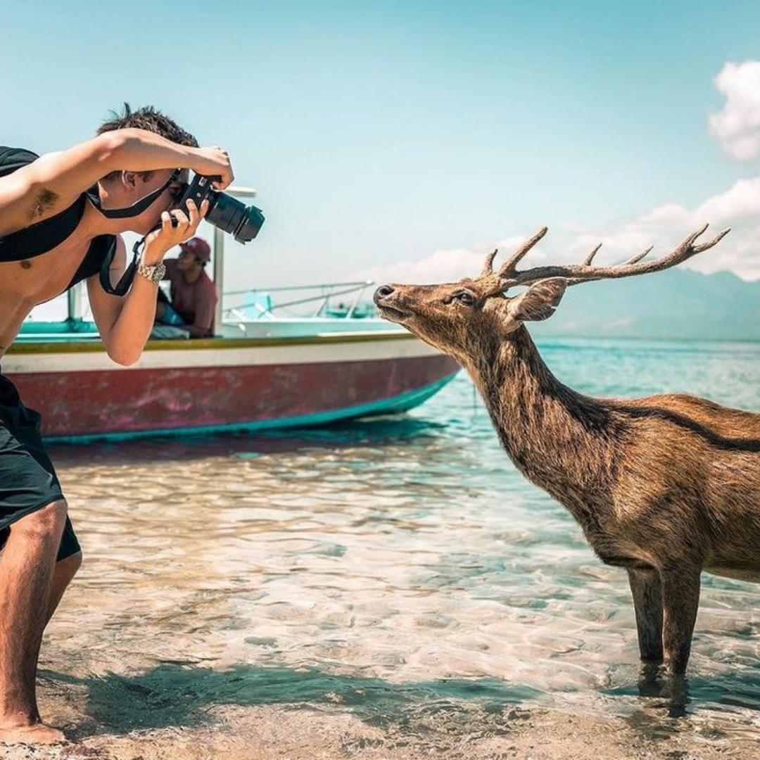 Ile aux cerfs