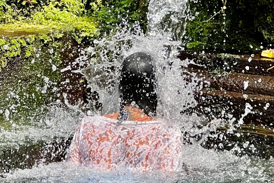 Purification