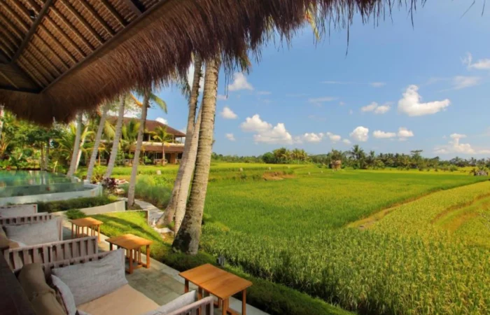 Fauteuil avec tables vue sur les rizieres de Ubud