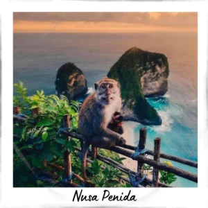 Jour 12 - Nusa Penida