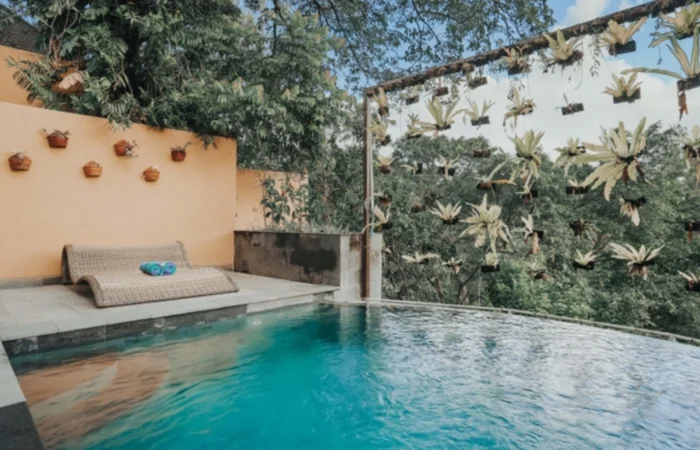 Piscine avec vue sur jungle