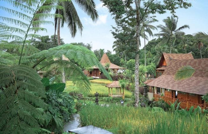 HOTELS_WEB_SITE (1)