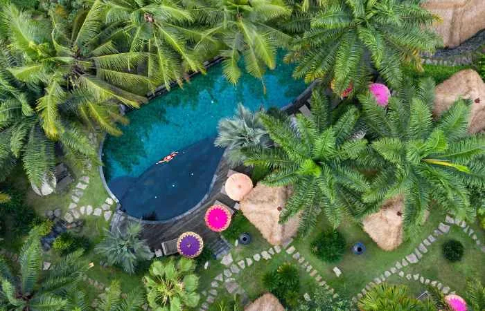 Piscine vue rizieres et jungle