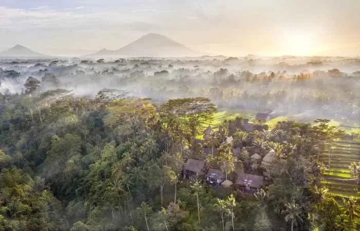 Blue karma dijiwa Ubud