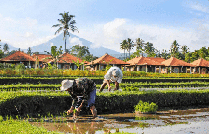 SRI LESTARI - OUTSIDE (2)