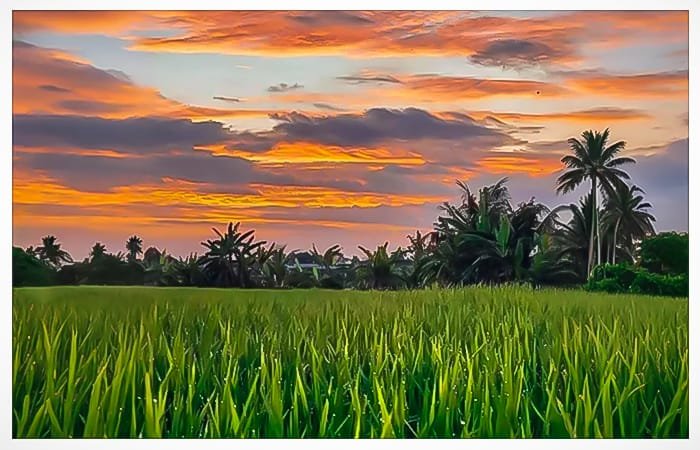 ubud