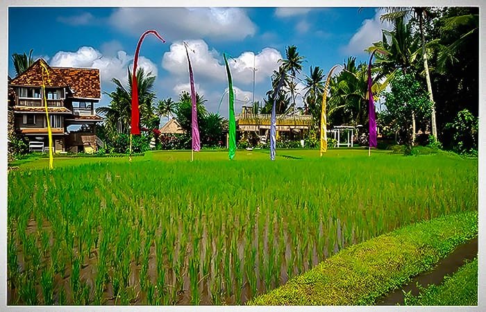 ubud