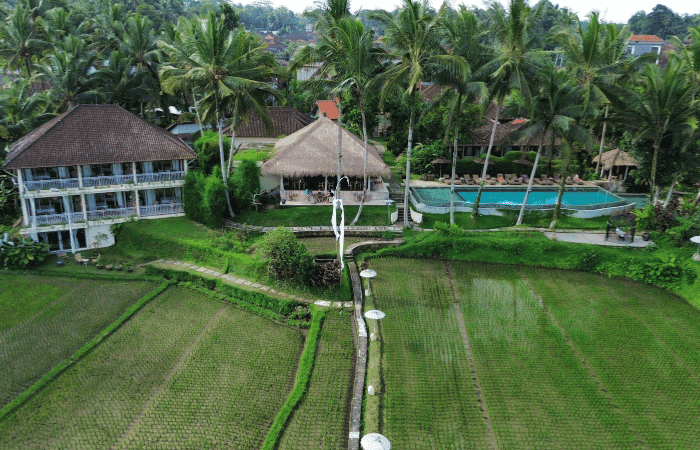 MATHIS RETREAT Ubud - VIEW (4)