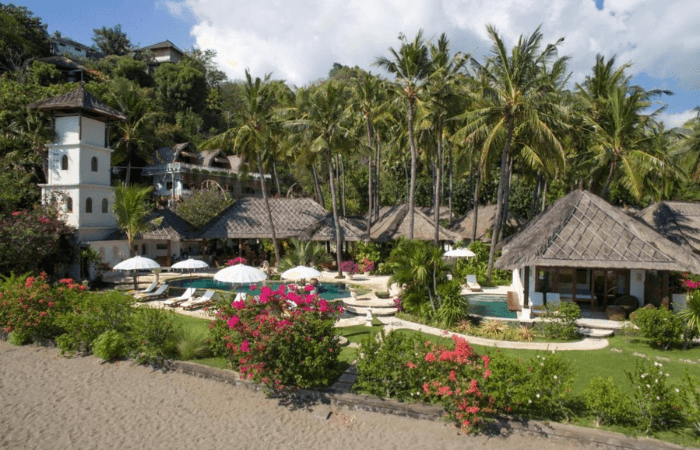PALM GARDEN - VIEW (5)