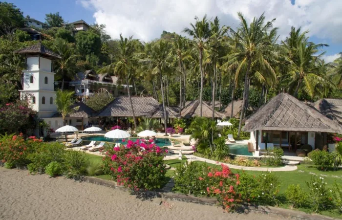 PALM GARDEN - VIEW (5)